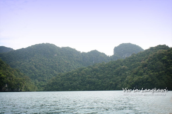 IMG_2014 copy3.jpg IMG_2014 copy3.jpg