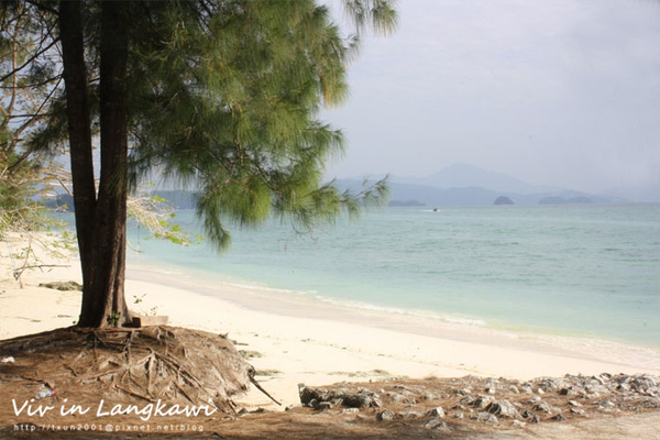 IMG_1866 copy.jpg IMG_1866 copy.jpg