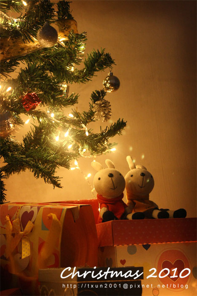 IMG_1180 copy.jpg IMG_1180 copy.jpg