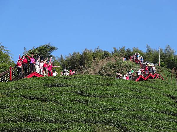 20141108茂林太平茶園[光] 246.jpg