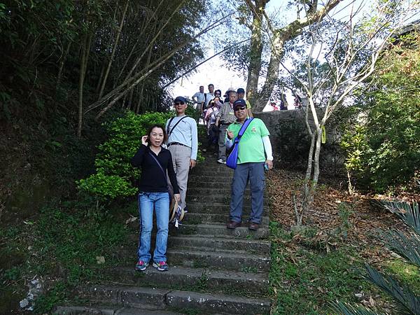 20141108茂林太平茶園[光] 262.jpg