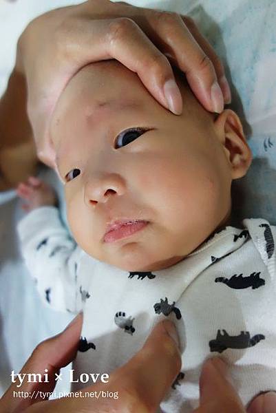 DSC06720.jpg DSC06720.jpg