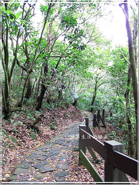 20131109 魚路古道02 20131109 魚路古道02