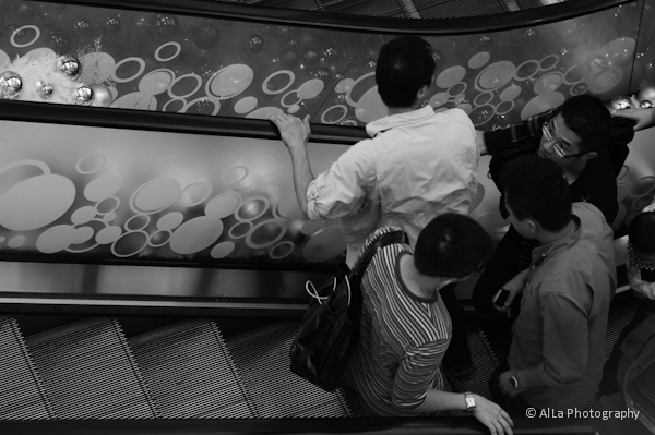 Up and Down Up and Down