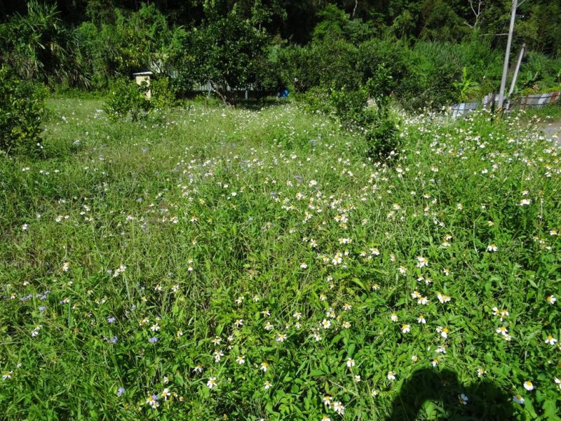 DSC04905.JPG DSC04905.JPG