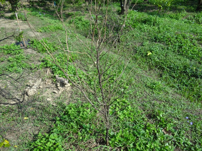 DSC05610.JPG DSC05610.JPG