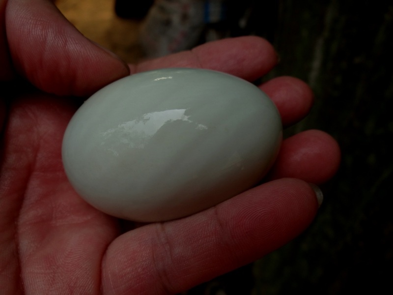 DSC02125.JPG DSC02125.JPG