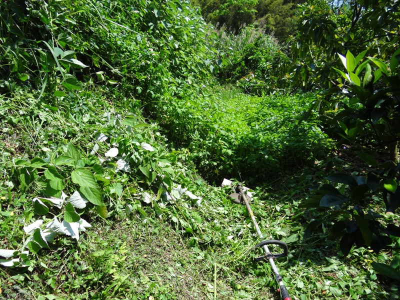 DSC09174.JPG DSC09174.JPG