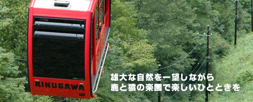 top_image