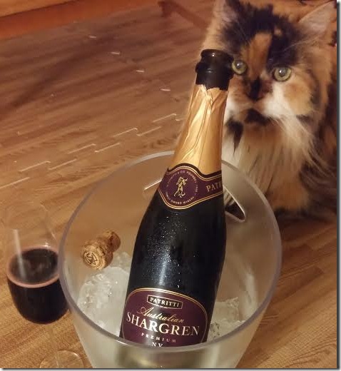 217ad74e-6937-4859-a65d-fac279daad06 217ad74e-6937-4859-a65d-fac279daad06