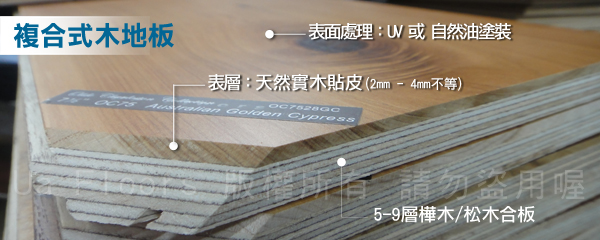 複合式木地板結構說明圖.jpg