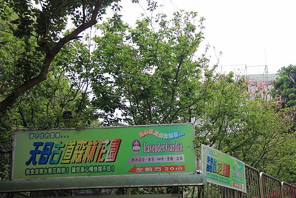天母古道森林花園 001 (1024x683).jpg 天母古道森林花園 001 (1024x683).jpg