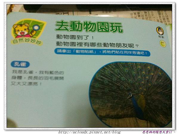 照片 007.jpg 照片 007.jpg