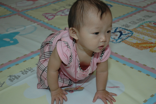 DSC_7455.JPG DSC_7455.JPG