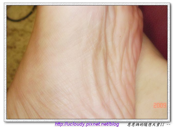 DSC07548.JPG DSC07548.JPG