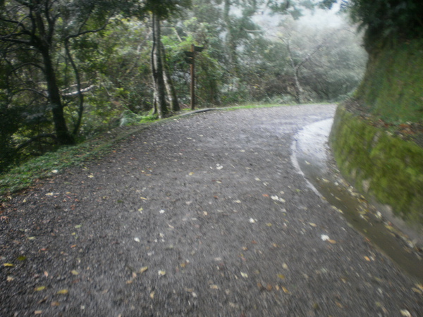 PA200430.JPG PA200430.JPG