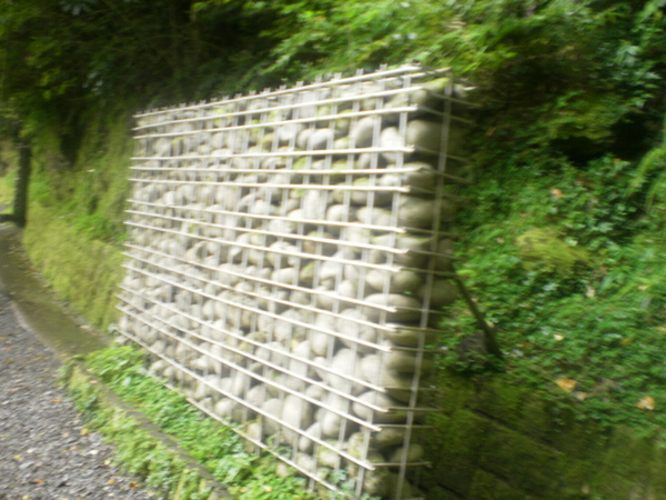 PA200454.JPG PA200454.JPG