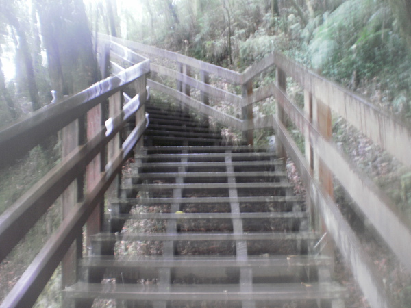 PA200580.JPG PA200580.JPG