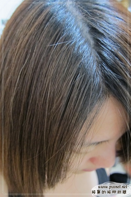 艾尾玫瑰vs去屑止27 艾尾玫瑰vs去屑止27