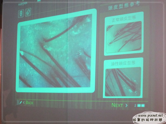 RF荷那法蕊麥蛋白駐齡系列21 RF荷那法蕊麥蛋白駐齡系列21