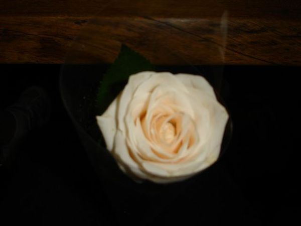 調整大小 DSC00375.JPG 調整大小 DSC00375.JPG