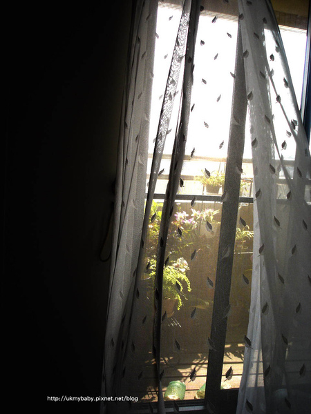 DSC04773拷貝.jpg DSC04773拷貝.jpg