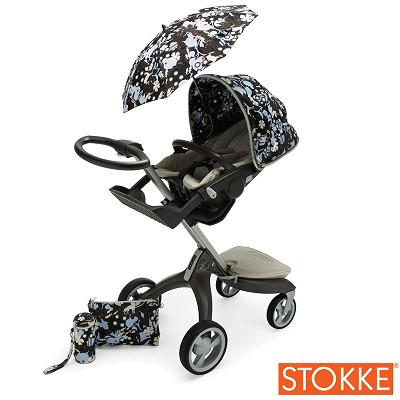 forestLarge.jpg forestLarge.jpg