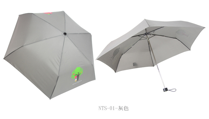 NTS-6.jpg NTS-6.jpg