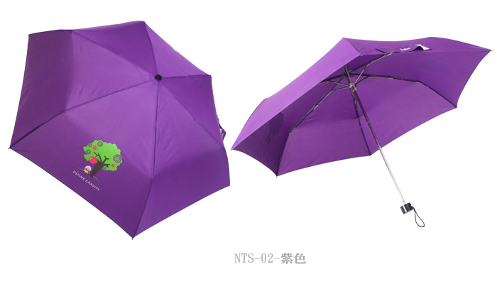 NTS-7.jpg NTS-7.jpg