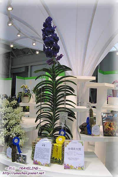 IMG_2219.jpg IMG_2219.jpg