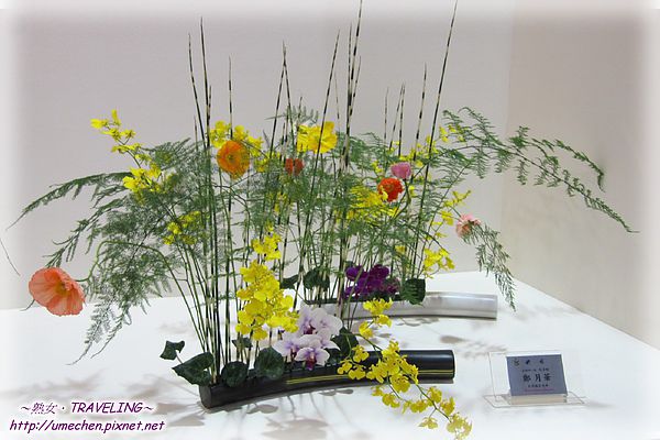 爭豔館-池坊小盆花展-1.jpg 爭豔館-池坊小盆花展-1.jpg
