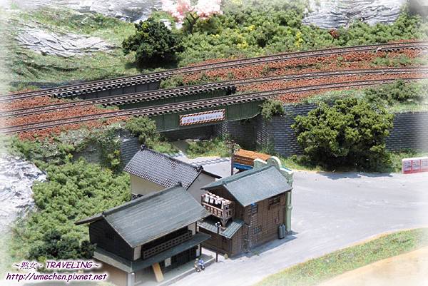 IMG_0538.jpg IMG_0538.jpg