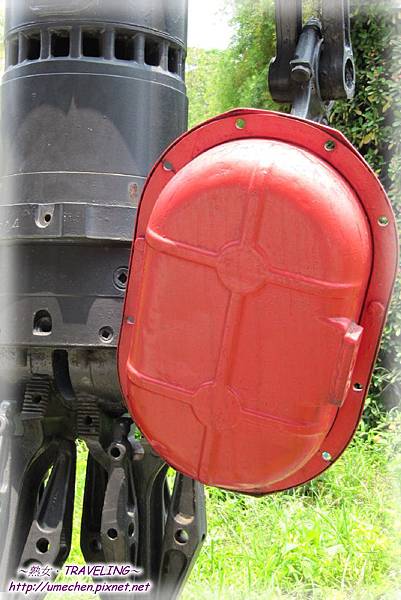 IMG_0555.jpg IMG_0555.jpg