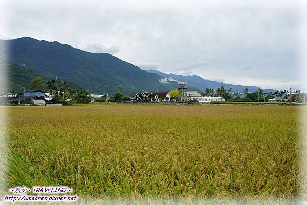 DSC04678.jpg DSC04678.jpg