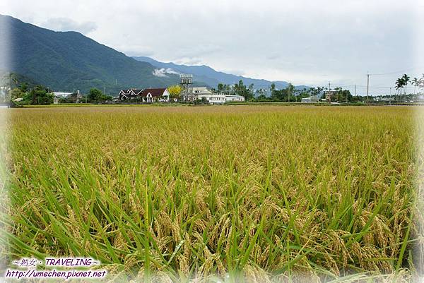 DSC04679.jpg DSC04679.jpg