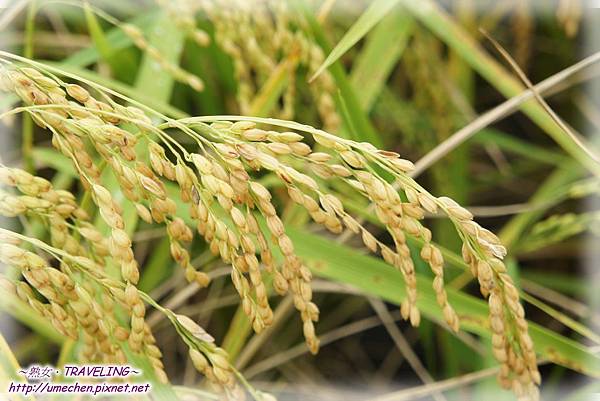 DSC04680.jpg DSC04680.jpg