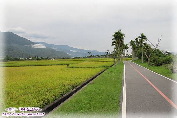 IMG_1149.jpg IMG_1149.jpg