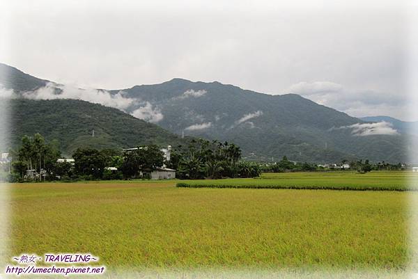 IMG_1152.jpg IMG_1152.jpg