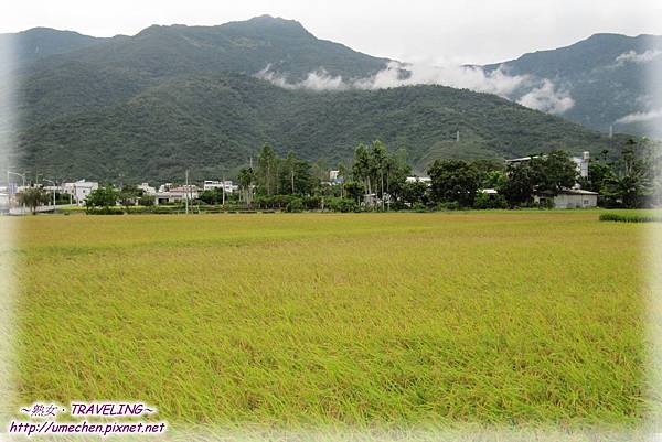 IMG_1153.jpg IMG_1153.jpg