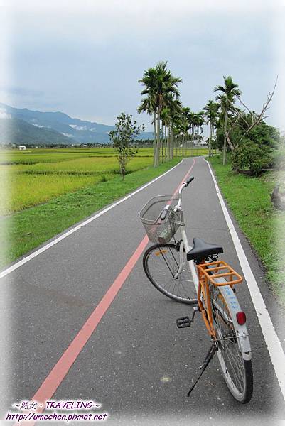 IMG_1156.jpg IMG_1156.jpg