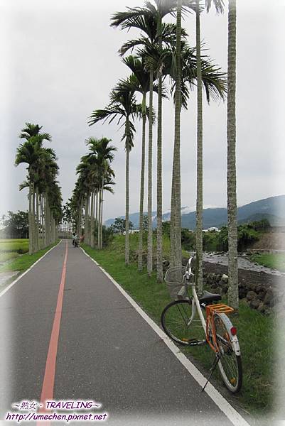 IMG_1157.jpg IMG_1157.jpg