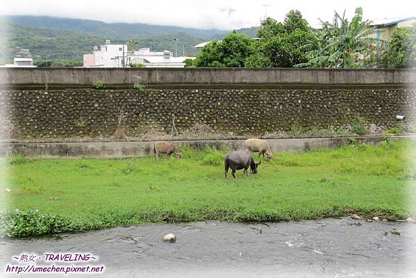 IMG_1160.jpg IMG_1160.jpg