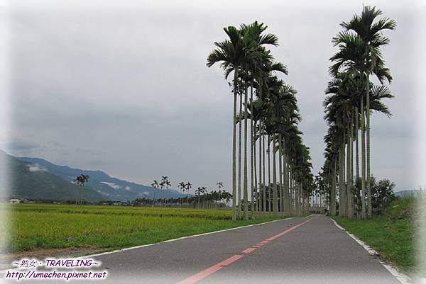 IMG_1162.jpg IMG_1162.jpg