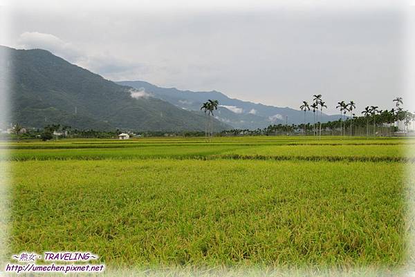 IMG_1164.jpg IMG_1164.jpg