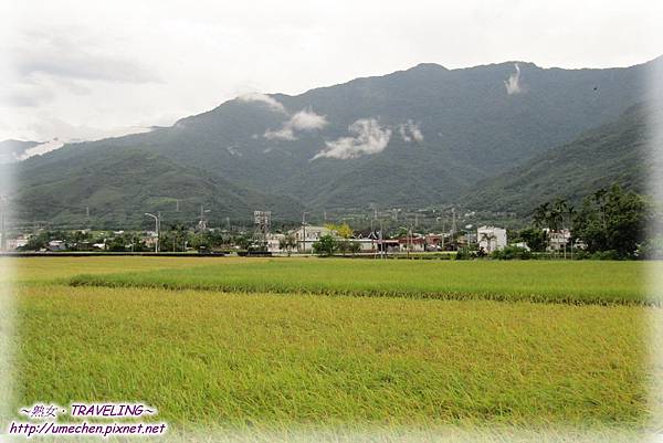 IMG_1165.jpg IMG_1165.jpg