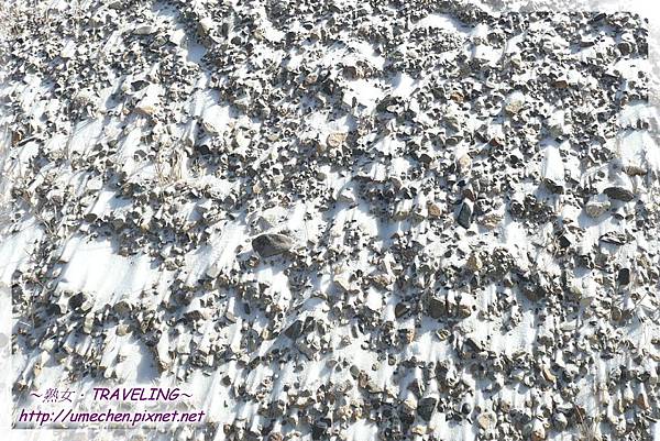 措勤縣城外的雪世界-10.jpg 措勤縣城外的雪世界-10.jpg