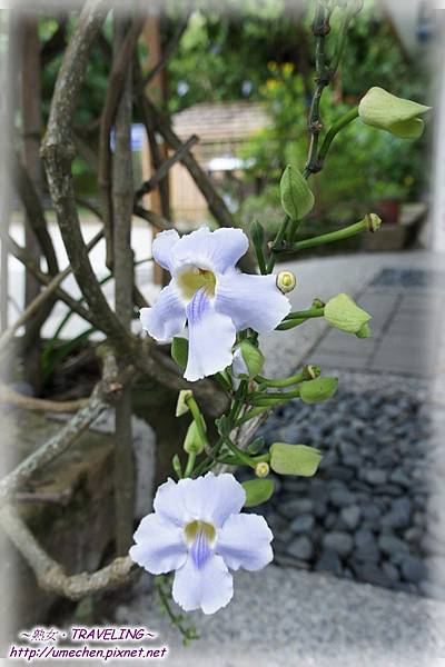 DSC01539.jpg DSC01539.jpg