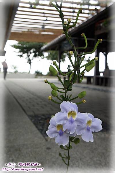 DSC01541.jpg DSC01541.jpg