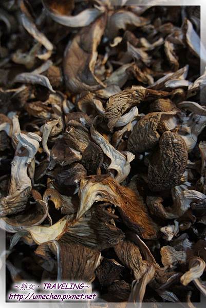 甲蕃古城逛小店-發現雞肉絲菇_1