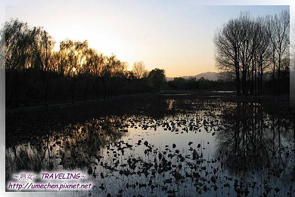 圓明園-我一人獨享的夕陽美景(1 圓明園-我一人獨享的夕陽美景(1